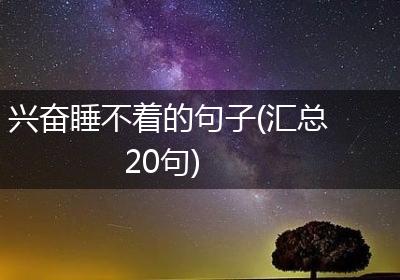 兴奋睡不着的句子(汇总20句)