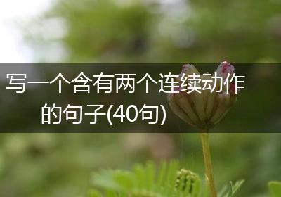写一个含有两个连续动作的句子(40句)