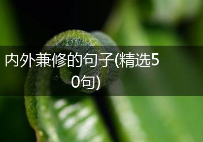 内外兼修的句子(精选50句)