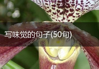 写味觉的句子(50句)