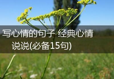 写心情的句子 经典心情说说(必备15句)