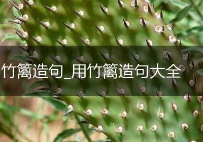 竹篱造句_用竹篱造句大全