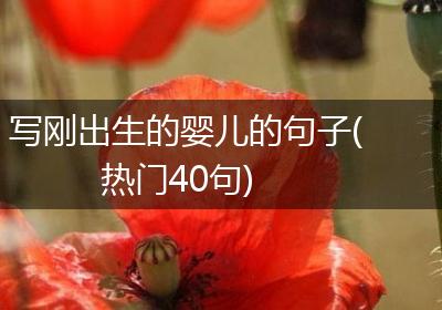 写刚出生的婴儿的句子(热门40句)