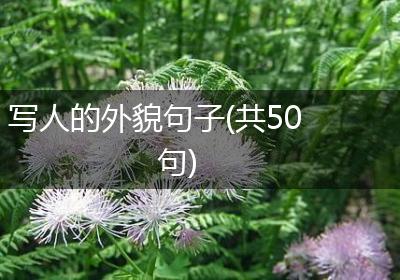 写人的外貌句子(共50句)