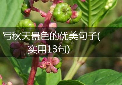 写秋天景色的优美句子(实用13句)