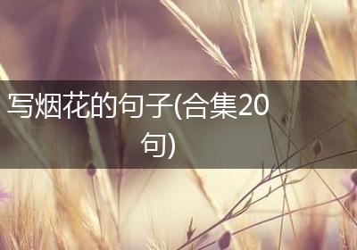 写烟花的句子(合集20句)