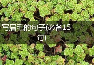 写眉毛的句子(必备15句)