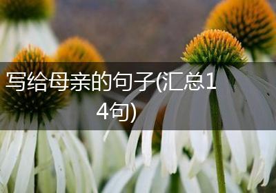写给母亲的句子(汇总14句)