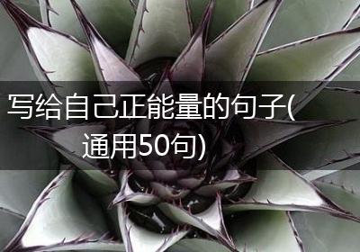 写给自己正能量的句子(通用50句)