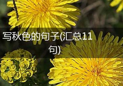 写秋色的句子(汇总11句)