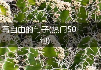 写自由的句子(热门50句)