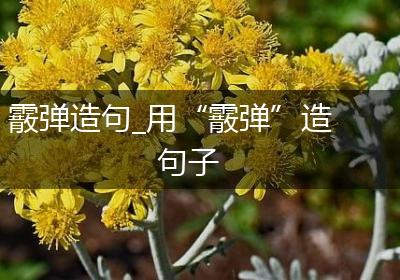霰弹造句_用“霰弹”造句子