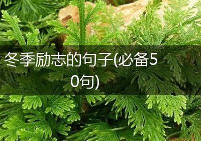 冬季励志的句子(必备50句)