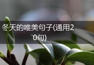 冬天的唯美句子(通用20句)