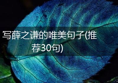 写薛之谦的唯美句子(推荐30句)