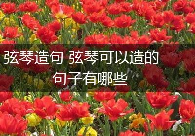 弦琴造句 弦琴可以造的句子有哪些