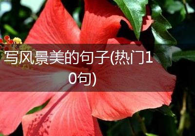 写风景美的句子(热门10句)
