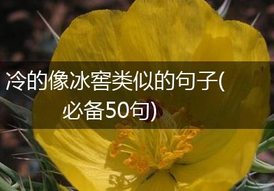 冷的像冰窖类似的句子(必备50句)