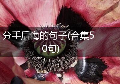 分手后悔的句子(合集50句)