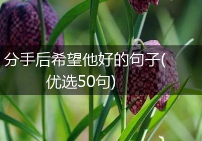 分手后希望他好的句子(优选50句)