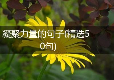 凝聚力量的句子(精选50句)