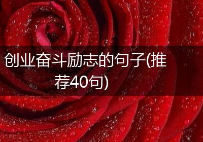 创业奋斗励志的句子(推荐40句)