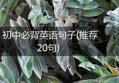 初中必背英语句子(推荐20句)