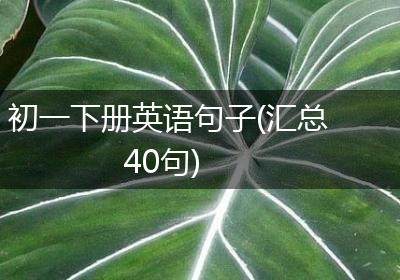 初一下册英语句子(汇总40句)