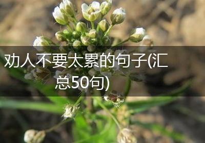劝人不要太累的句子(汇总50句)