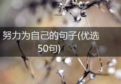 努力为自己的句子(优选50句)