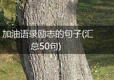 加油语录励志的句子(汇总50句)