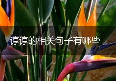 谆谆的相关句子有哪些