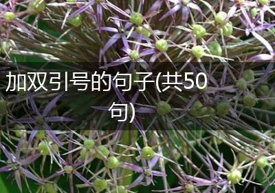 加双引号的句子(共50句)