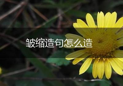 皱缩造句怎么造