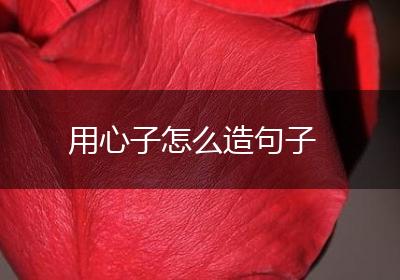 用心子怎么造句子