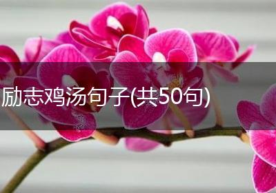 励志鸡汤句子(共50句)