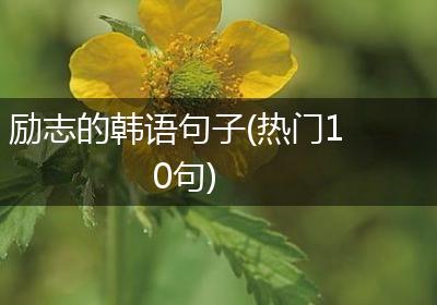 励志的韩语句子(热门10句)