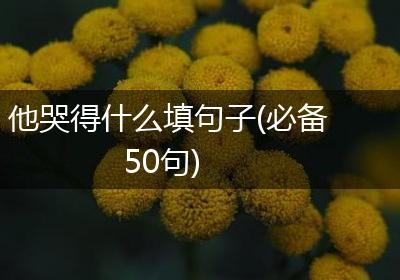 他哭得什么填句子(必备50句)