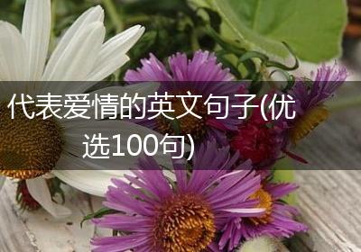 代表爱情的英文句子(优选100句)