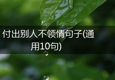 付出别人不领情句子(通用10句)
