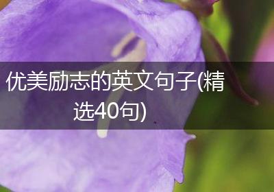 优美励志的英文句子(精选40句)