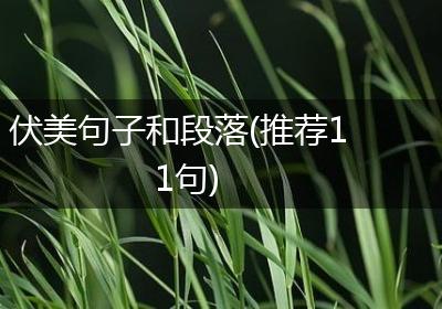 伏美句子和段落(推荐11句)