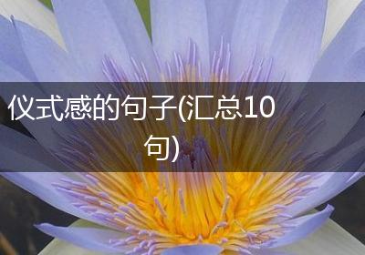 仪式感的句子(汇总10句)