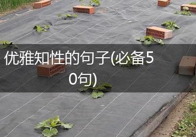 优雅知性的句子(必备50句)