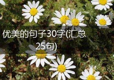 优美的句子30字(汇总25句)