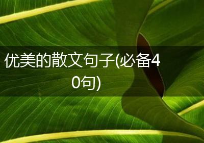 优美的散文句子(必备40句)