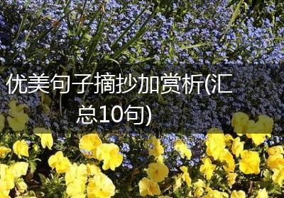 优美句子摘抄加赏析(汇总10句)