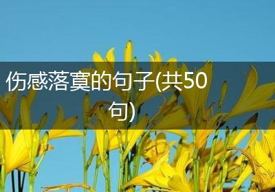 伤感落寞的句子(共50句)