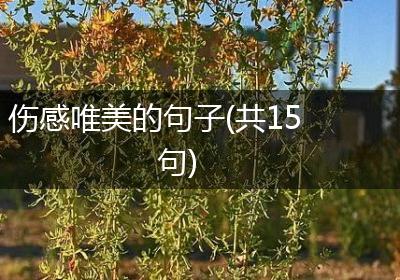 伤感唯美的句子(共15句)