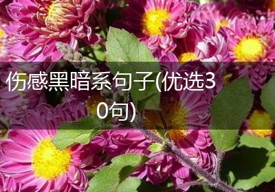 伤感黑暗系句子(优选30句)